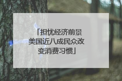 担忧经济前景 美国近八成民众改变消费习惯